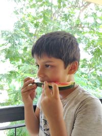 Portrait of boy holding while eating plant against trees