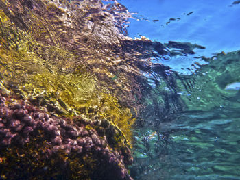Close-up of sea against sky