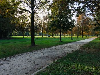 Footpath in park during autumn