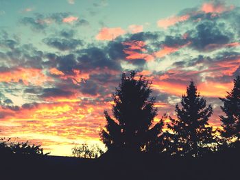 Silhouette of trees at sunset