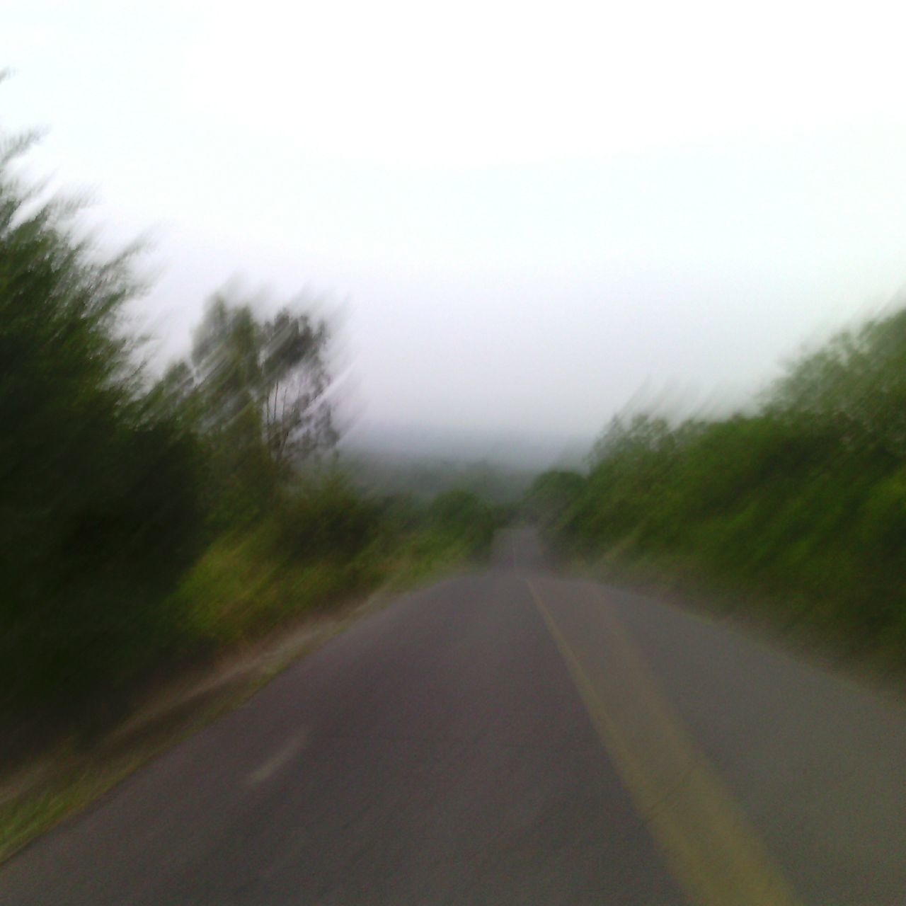 the way forward, road, transportation, fog, diminishing perspective, vanishing point, weather, foggy, country road, tree, tranquility, nature, tranquil scene, copy space, road marking, sky, beauty in nature, outdoors, empty road