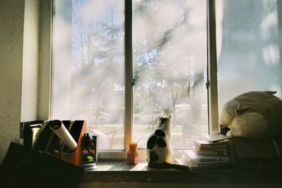 Rear view of woman looking through window