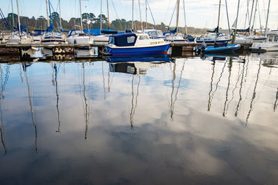 Sailboats moored in harbor