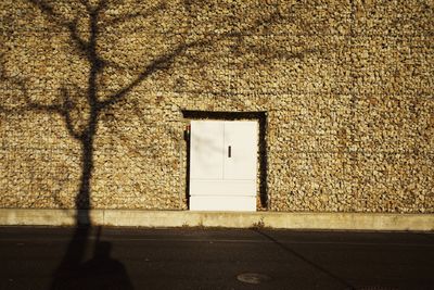 Shadow of tree on stone wall