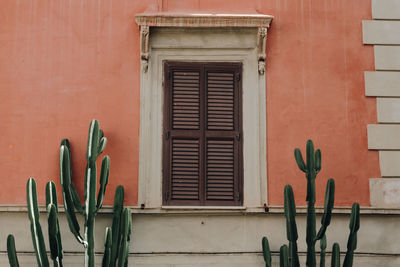 Close-up of window