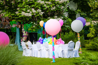 Multi colored balloons against plants in park