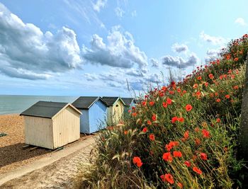 Scenic view of house against sky