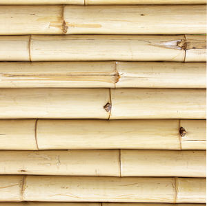Full frame shot of bamboo wooden wall