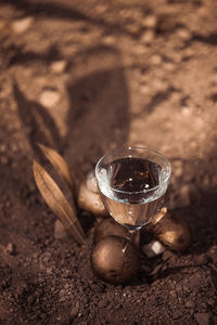 Close-up of drink on table