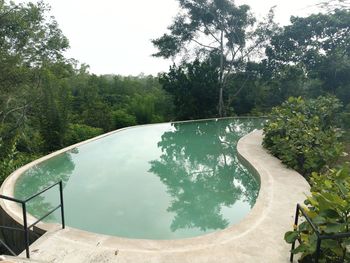 Swimming pool by trees against clear sky