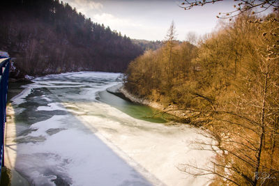 Scenic view of river in forest during winter