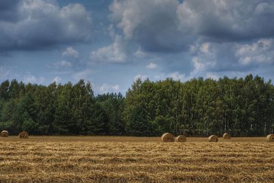 View of hay bales on field against sky