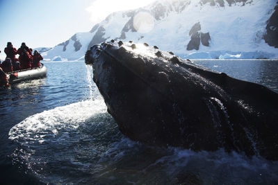 View of eco tourists watching humpback whale in the sea