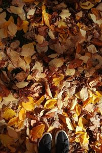 Low section of person standing on fallen autumn leaves