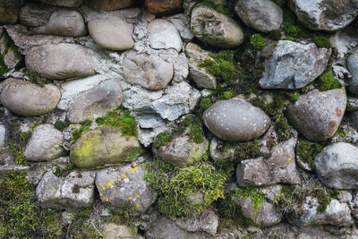 High angle view of stones