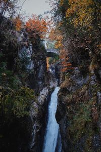 Stream flowing through rocks in forest