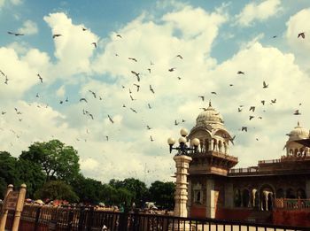 Low angle view of bird flying against sky