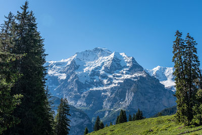 Scenic view of snowcapped mountains against clear blue sky