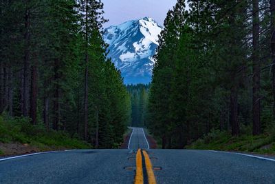 Road amidst trees in forest against sky