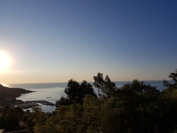 Scenic view of sea and trees against clear sky