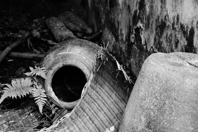 Close-up of abandoned wood