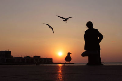 Silhouette of seagull flying over sea against sky during sunset