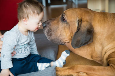 Close-up of boy sitting with dog