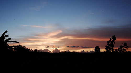 Silhouette trees on field against sky during sunset