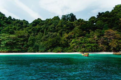 Scenic view of trees by sea against sky