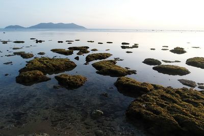 Scenic view of sea