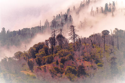 Scenic view of landscape against cloudy sky