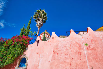 Low angle view of flowering plants against building