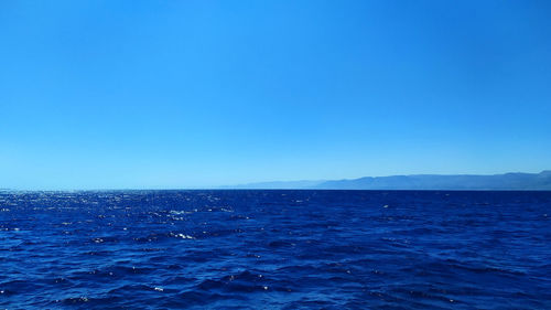 Red sea, aqaba, jordan