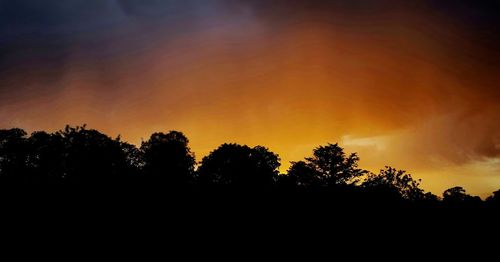 Silhouette of trees at sunset