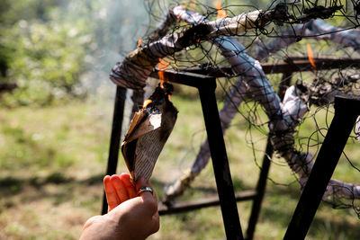 Person holding umbrella