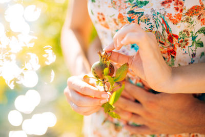 Midsection of woman holding pomegranate