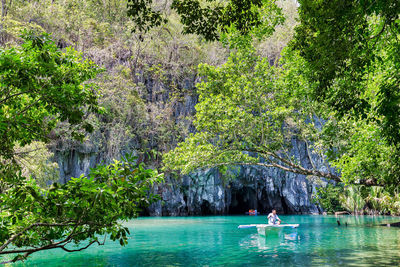 Scenic view of lake by trees in forest