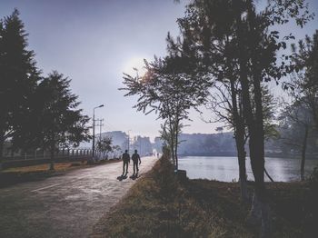 People walking by trees against sky