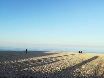 People on beach against clear sky