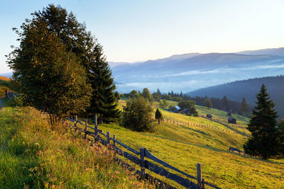 Scenic view of field against sky