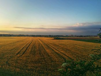 Scenic view of field against sky