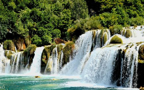 Scenic view of waterfall in forest