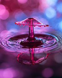 Close-up of purple liquid splashing