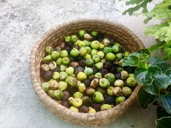 High angle view of fruits in bowl