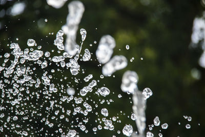 Close-up of water drops on plant