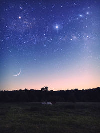 Scenic view of field against sky at night
