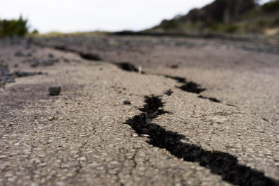 Surface level of landscape