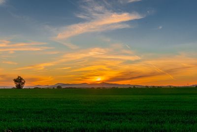 Scenic view of field against sky during sunset