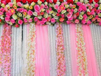 Close-up of pink flowering plants