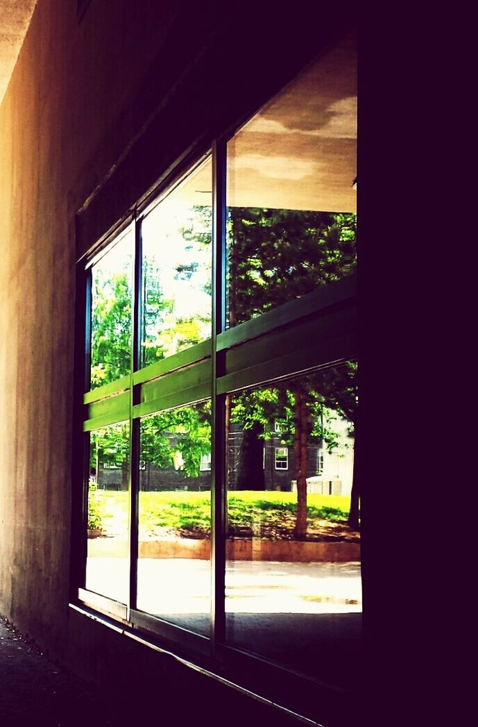 TREES AND HOUSE SEEN THROUGH WINDOW